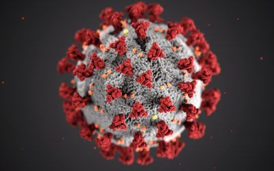 ¿LA DIABETES AUMENTA LA MORTALIDAD POR COVID-19?