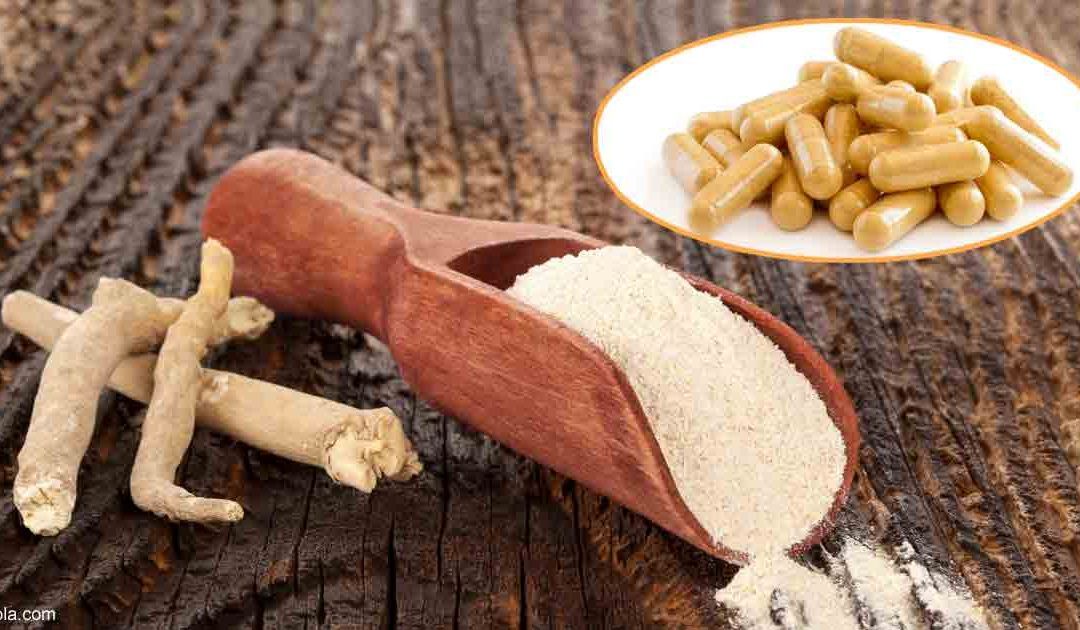 ASHWAGANDHA: ¿PANACEA O HUMO?