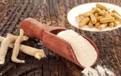 ASHWAGANDHA: ¿PANACEA O HUMO?